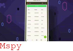 Goglle Mspy